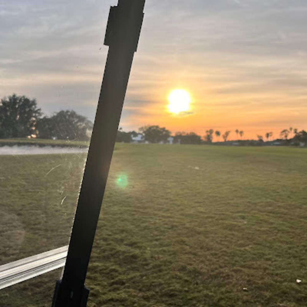 Meet your Posher, Stella